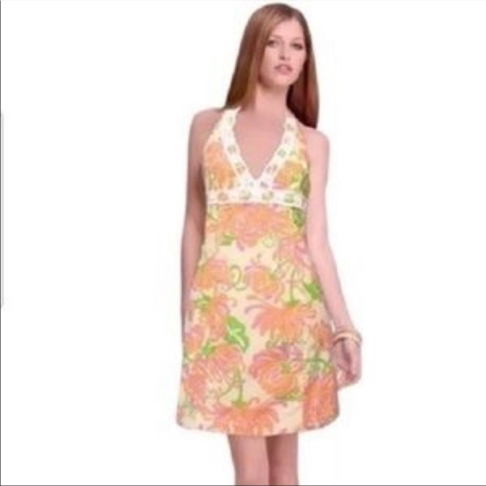 Lilly Pulitzer What a Wonderful World Dress - 6